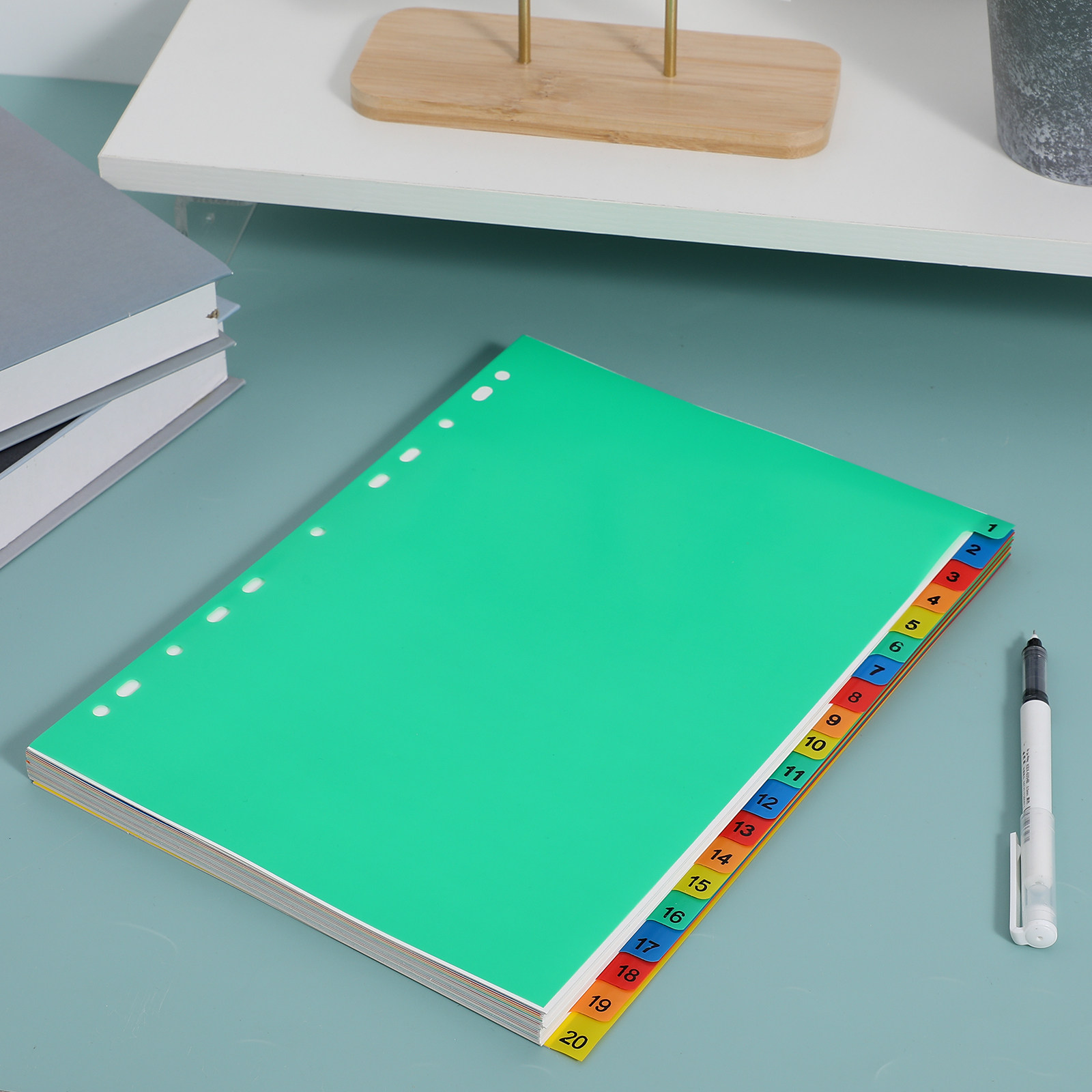 20 Pages A4 Colorful Plastic B - Tab Divider A4 avaliação e preço